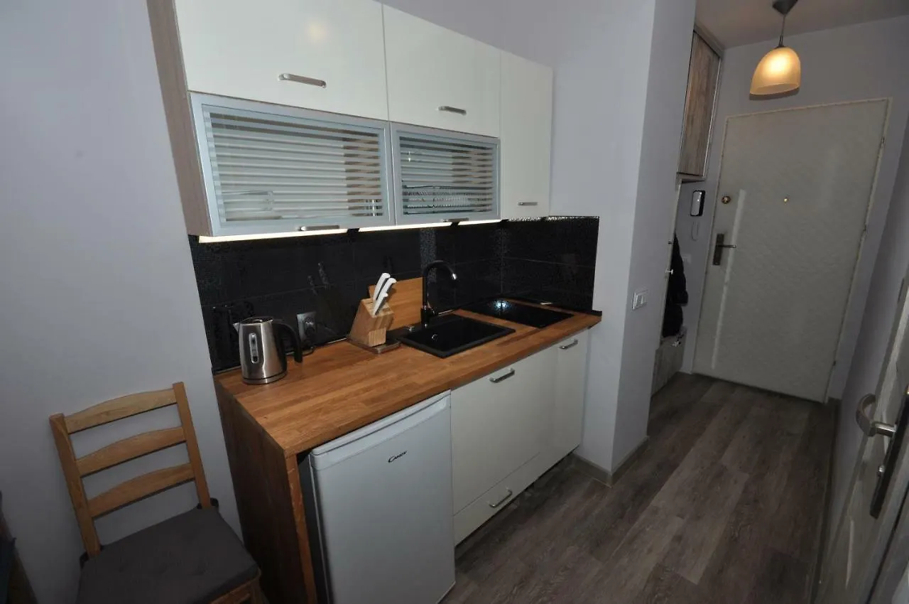Close To Everywhere In Warsaw Apartment